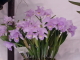 img0044.jpg