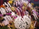 img0058.jpg