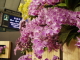 img0063.jpg