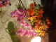 img0068.jpg