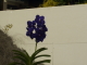 img0069.jpg