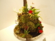 img0098.jpg