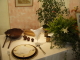 img0101.jpg