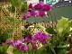 img0110.jpg