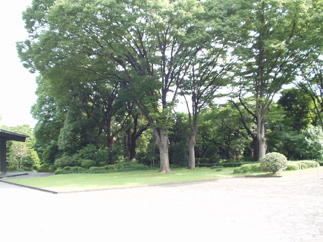 img0003.jpg