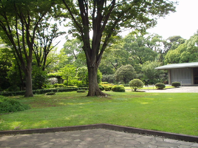 img0004.jpg