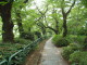 img0000.jpg