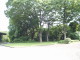 img0003.jpg