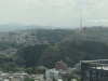 img0019.jpg