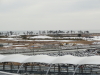 img0005.jpg