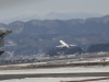 img0032.jpg