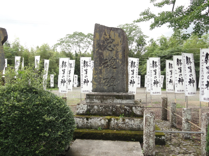 img0018.jpg