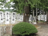 img0013.jpg