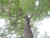 img0015.jpg