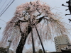 img0002.jpg