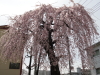 img0003.jpg