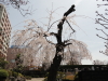 img0010.jpg