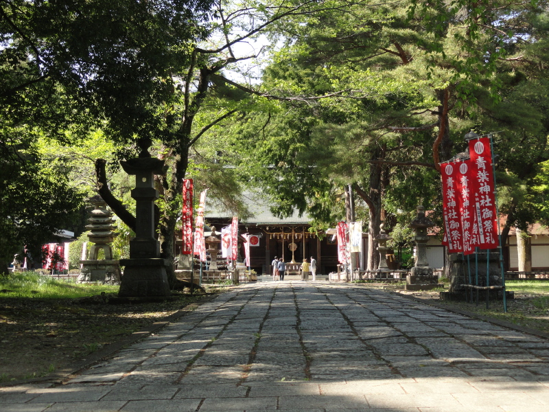 img0009.jpg