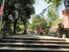 img0008.jpg