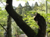 img0011.jpg