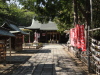 img0016.jpg