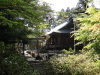 img0031.jpg