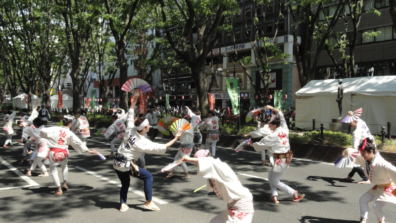 img0037.jpg