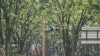 img0000.jpg
