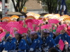 img0087.jpg