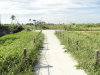 img0024.jpg
