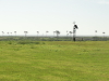 img0038.jpg