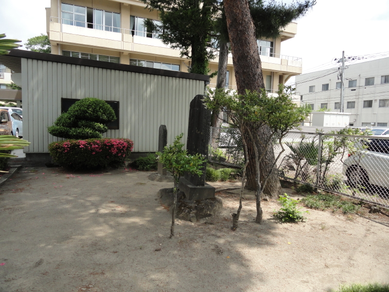 img0009.jpg