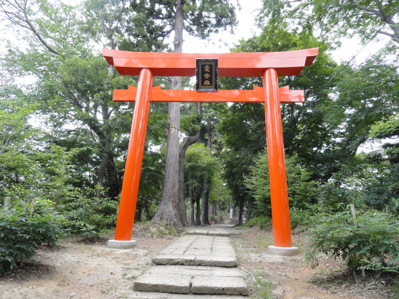 img0003.jpg