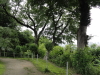 img0039.jpg