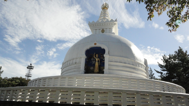 img0007.jpg