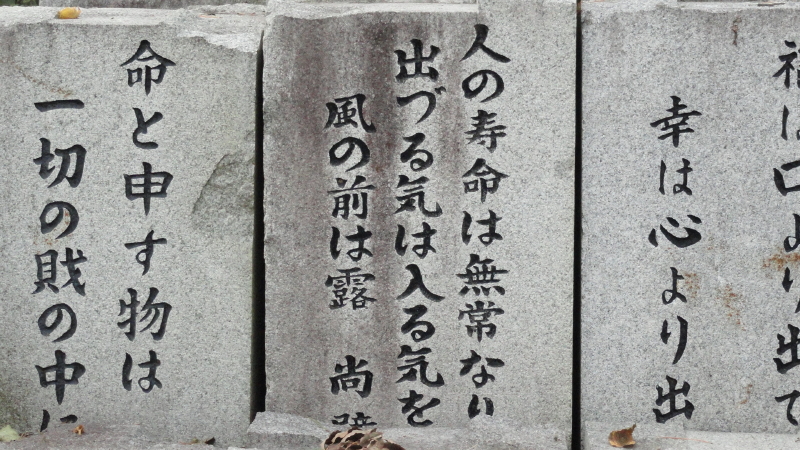 img0017.jpg