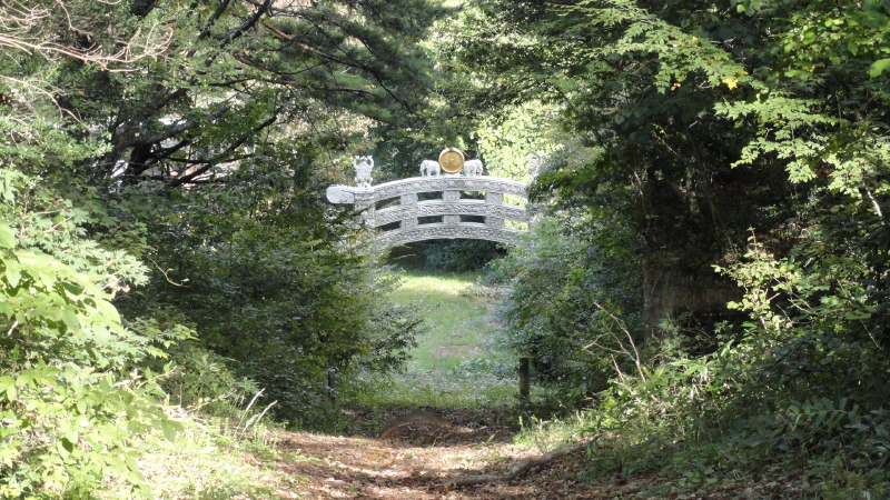 img0021.jpg