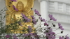 img0013.jpg