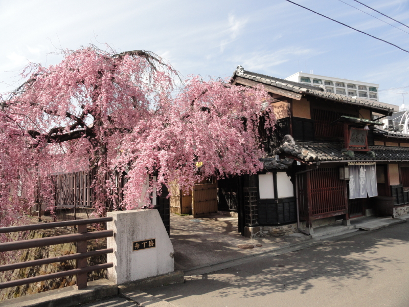 img0005.jpg
