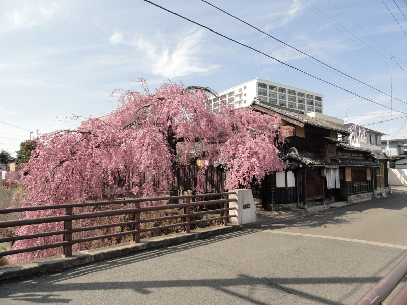 img0008.jpg