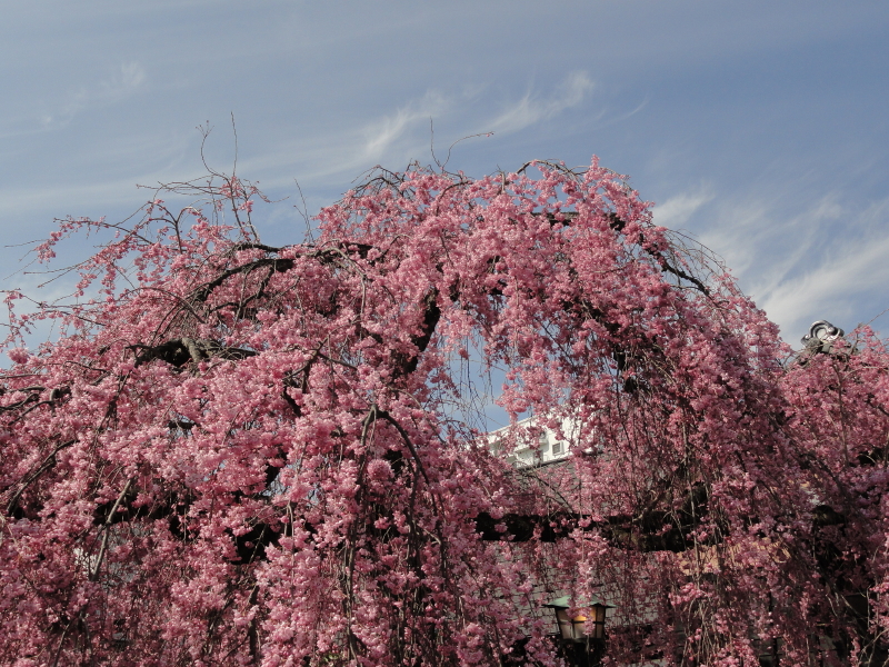img0017.jpg