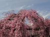 img0017.jpg