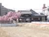 img0018.jpg