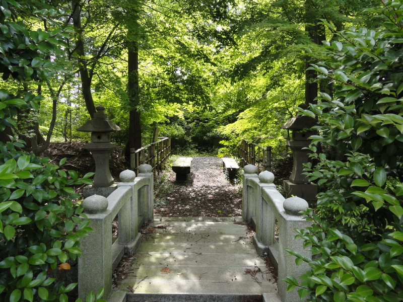 img0025.jpg