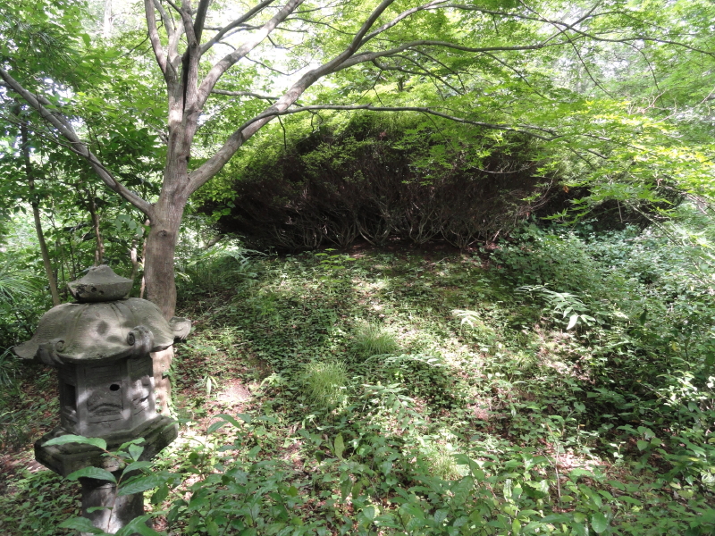 img0029.jpg