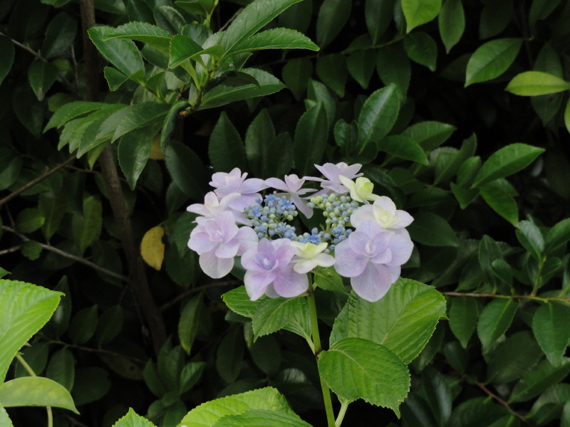img0034.jpg