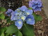 img0021.jpg