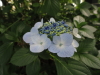 img0023.jpg