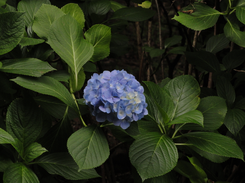 img0002.jpg