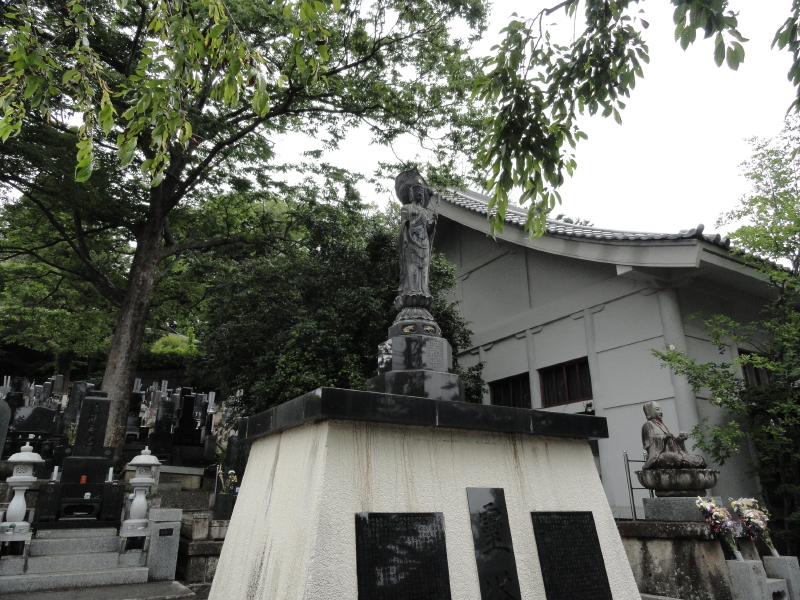 img0009.jpg